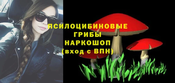 бутират Баксан