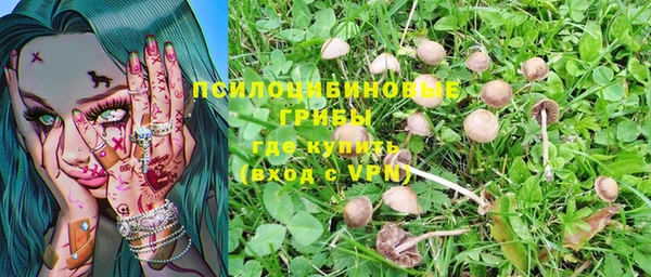 бутират Баксан