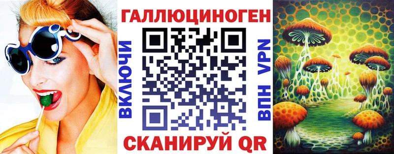 кракен ТОР  Хасавюрт  Псилоцибиновые грибы Psilocybine cubensis  дарнет шоп 